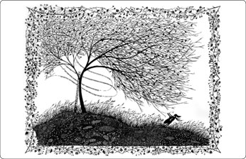 346-artwork.jpg
