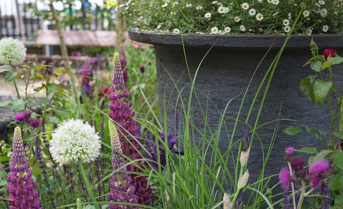 AMAFFI Perfume House gifts scented garden to Chelsea and Westminster Hospital as a lasting thank you to staff